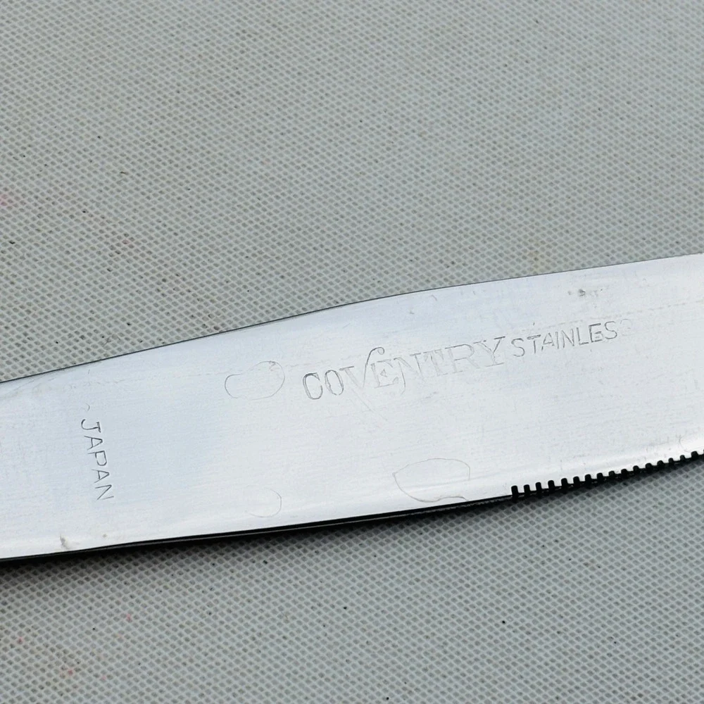 Bouquet by Coventry Dinner Knife Set of 6 JH Stainless Japan Floral Flatware